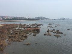 iphone_upload_pic-栈桥景区