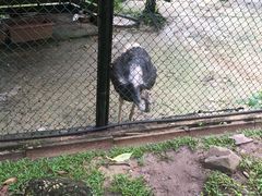 -吉隆坡雀鸟公园
