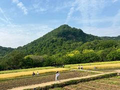 -八卦田遗址公园