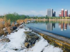 -永定河休闲森林公园