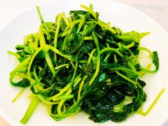 清炒鸡毛菜-九花山烤鸭店