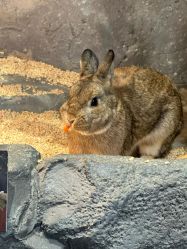 -Zoolung Zoolung动物主题公园(海信广场店)