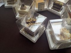 -21cake廿一客蛋糕