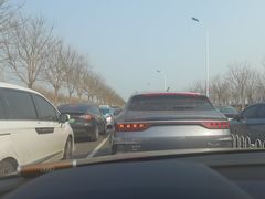 -天津妈祖文化园