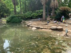 -苏州河梦清园环保主题公园