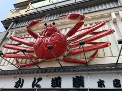 -蟹道乐(道顿堀本店)