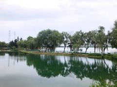-金银湖国家城市湿地公园