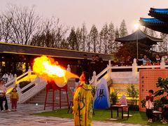 -祥源·阜阳生态乐园