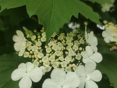 -东疆建设开发纪念公园