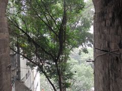 -杨记隆府(白象街店)