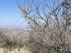 -阳台山自然风景区