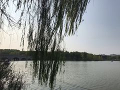 -昆山城市生态森林公园