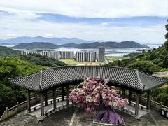 -黄贤森林公园
