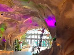 -杭州开元森泊度假乐园