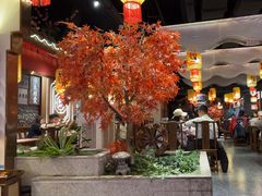 -杨记隆府重庆江湖菜(大悦城店)