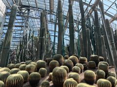 -南山植物园
