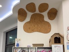 -纳吉亚猫专科动物医院·北北分院