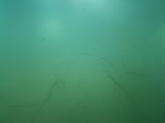 -白鹤梁水下博物馆
