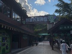 -野象谷景区