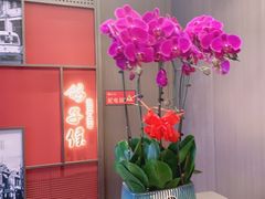 -鸽子侯·家宴·平价海鲜(绿地店)