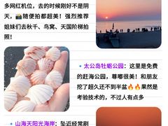 -巧克力渔家.小船海鲜胶东菜(万平口店)