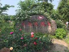 -鹅湖玫瑰文化园