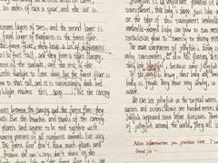 -瑞思英语·少儿英语启蒙(和平·国际商场示范校区)