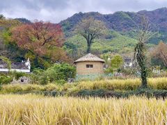 -塔川景区