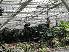 -上海鲜花港