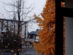-森果咖啡(人民西路店)