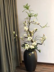 -酉嘉瑜伽YO+YOGA