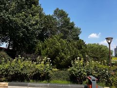 -元大都城垣遗址公园