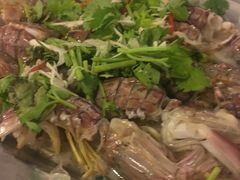 -真浪大家乐海鲜餐馆