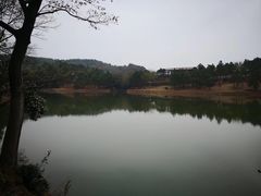 -南京市无想山景区