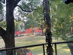 -申粤轩酒楼·三十年粤菜经典(丁香花园店)