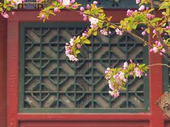 -海棠花溪(元大都城垣遗址公园)