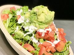 -油梨树AVOCADO TREE(顺义新国展店)