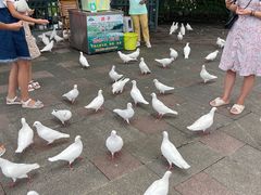 -国色天乡三期陆地乐园