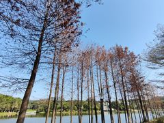 -东莞植物园
