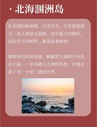 -Sunny喜铺婚礼策划(东部店)