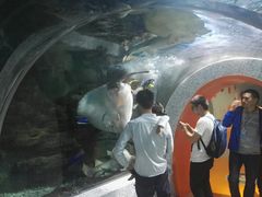 -绍兴梦享海洋公园