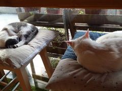 android_upload_pic-MIKAKU(万达广场上海宝山店)