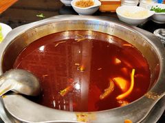 -冯记香辣兔火锅(茶店子总店)