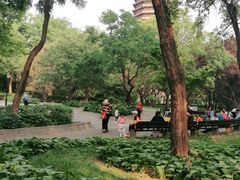 -玲珑塔公园