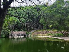 -深圳国际园林花卉博览园