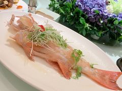 -金悦轩海鲜酒家(银河店)