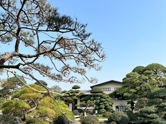 -金百门·顺德海鲜酒家(陈村店)