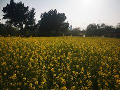 -长白岛森林公园