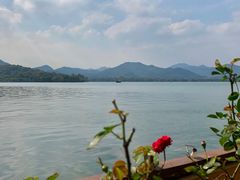 -柳莺湖上·湖景餐厅·江南菜(西湖店)