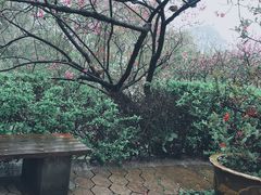 -张鸭子重庆特产卤味小吃(未来国际店)